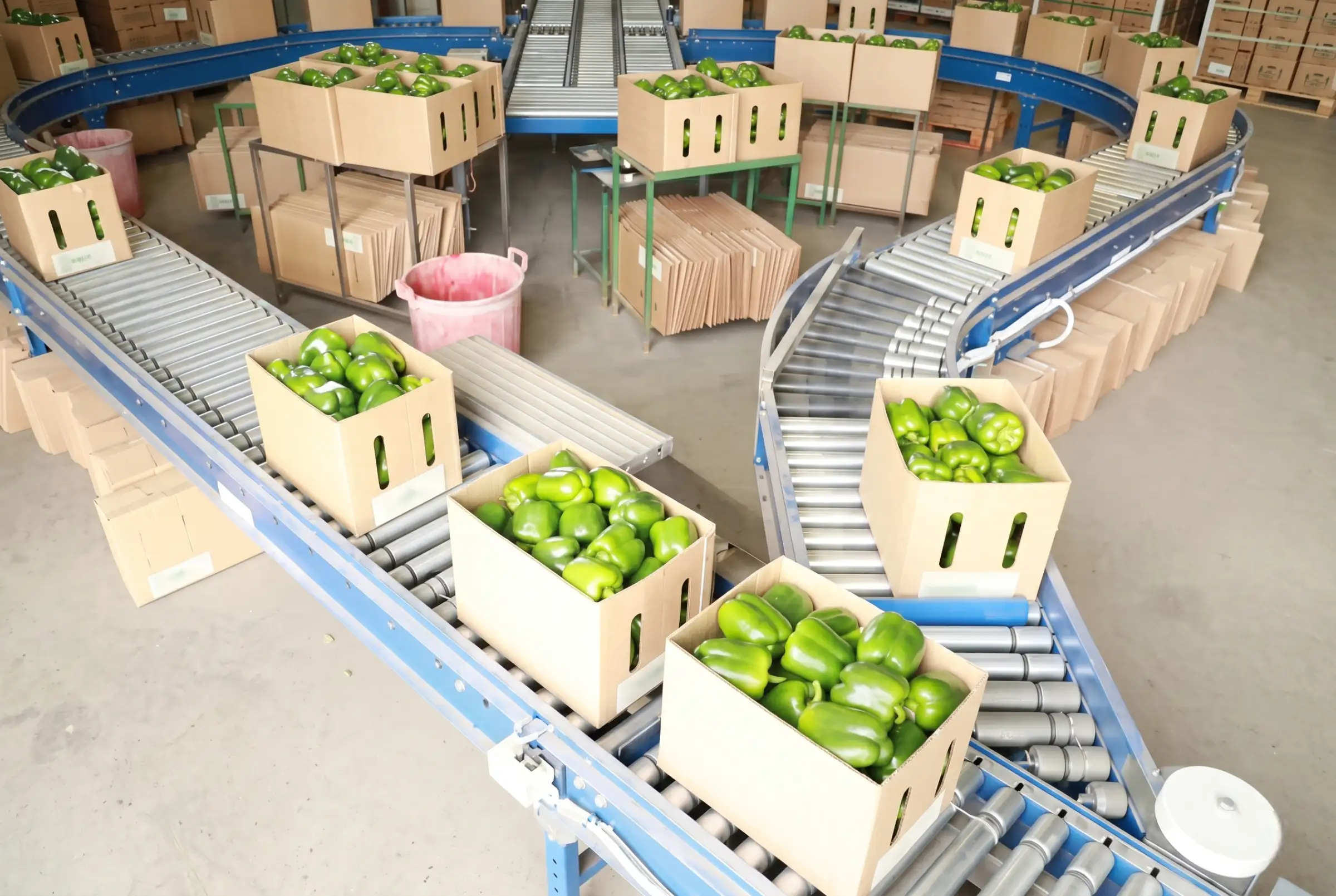 Food processing and packaging